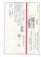 Biały Owczarek Szwajcarski